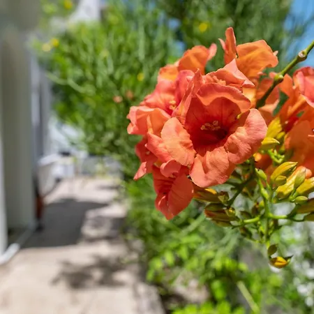 Дом отдыха Kosnian B Кос