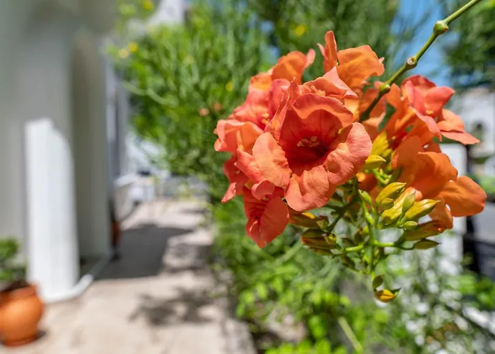 Holiday home Kosnian B Kos Town